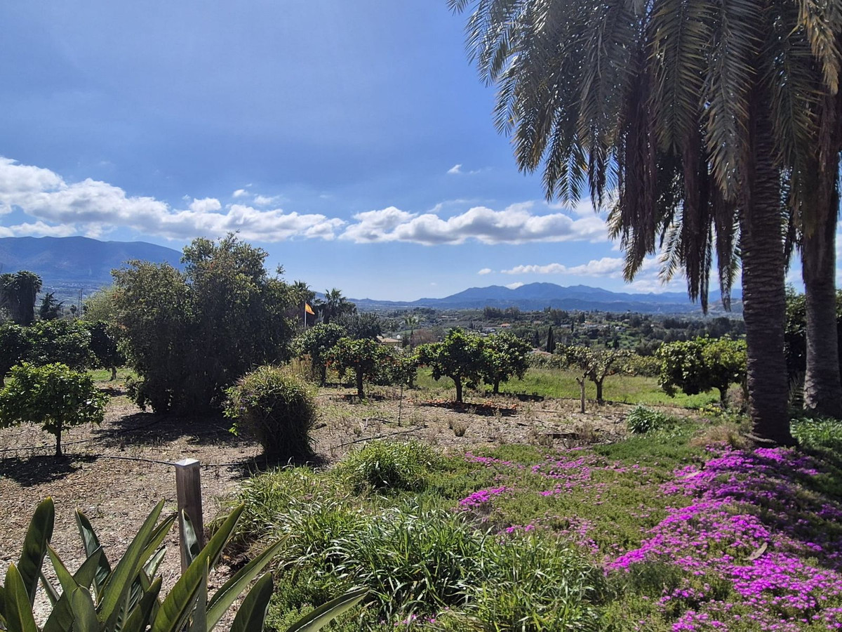 Property main view 55