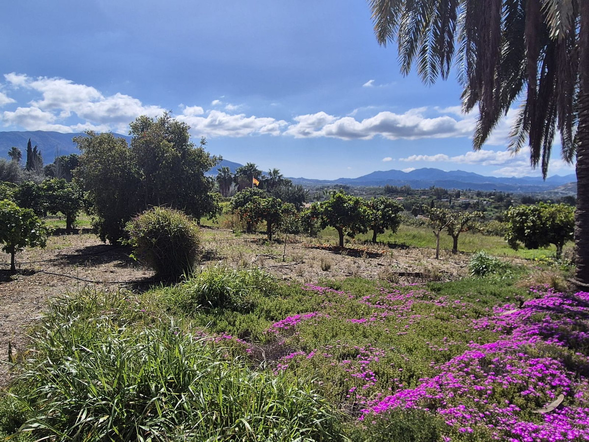 Property main view 56