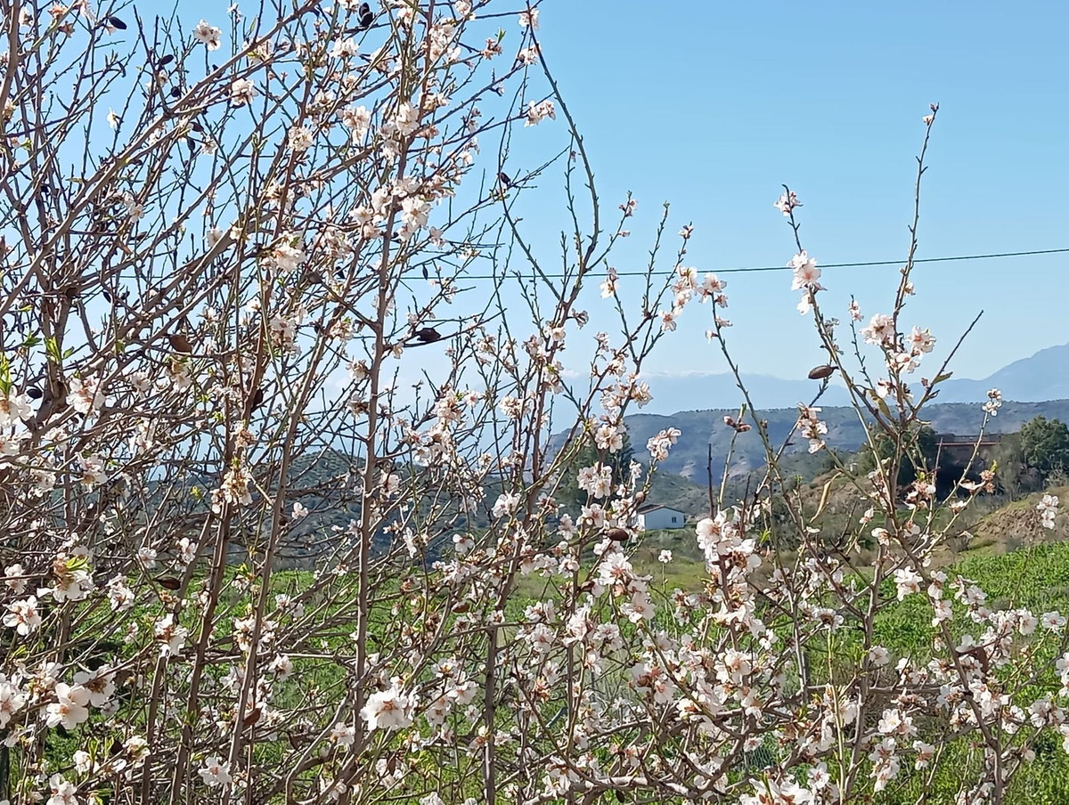 Property main view 37