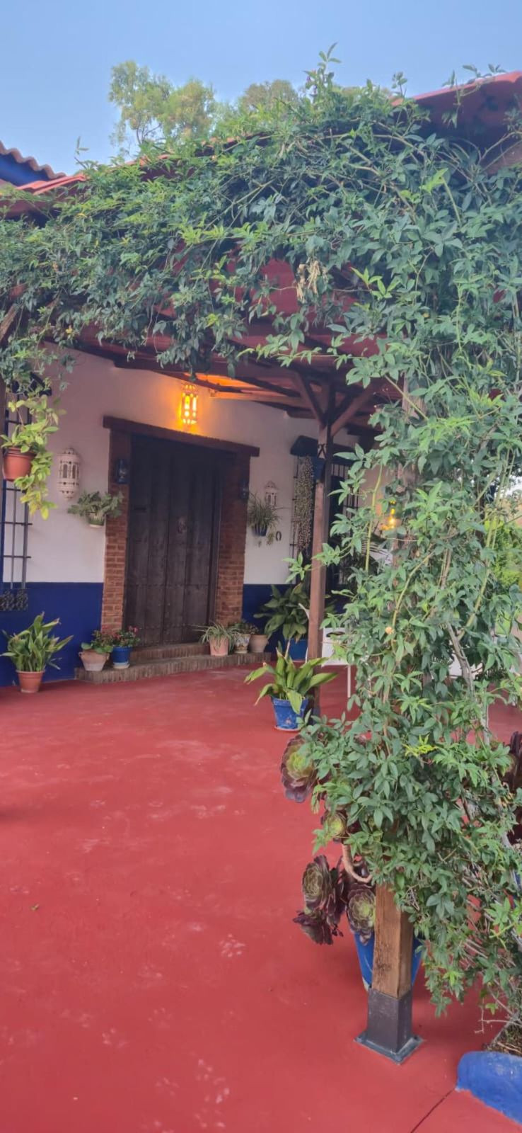 Property main view 18