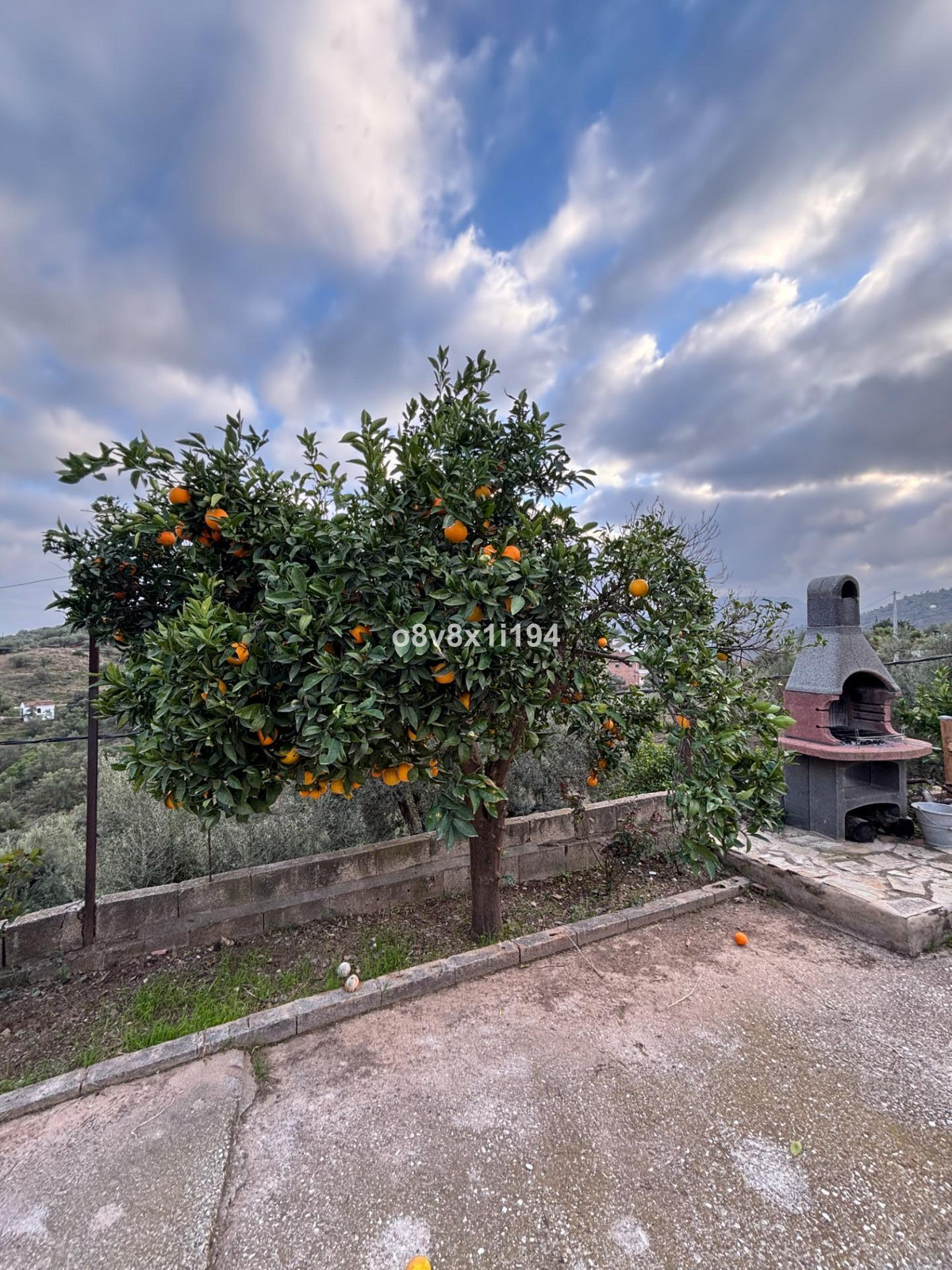 Finca - Cortijo in Cútar-5