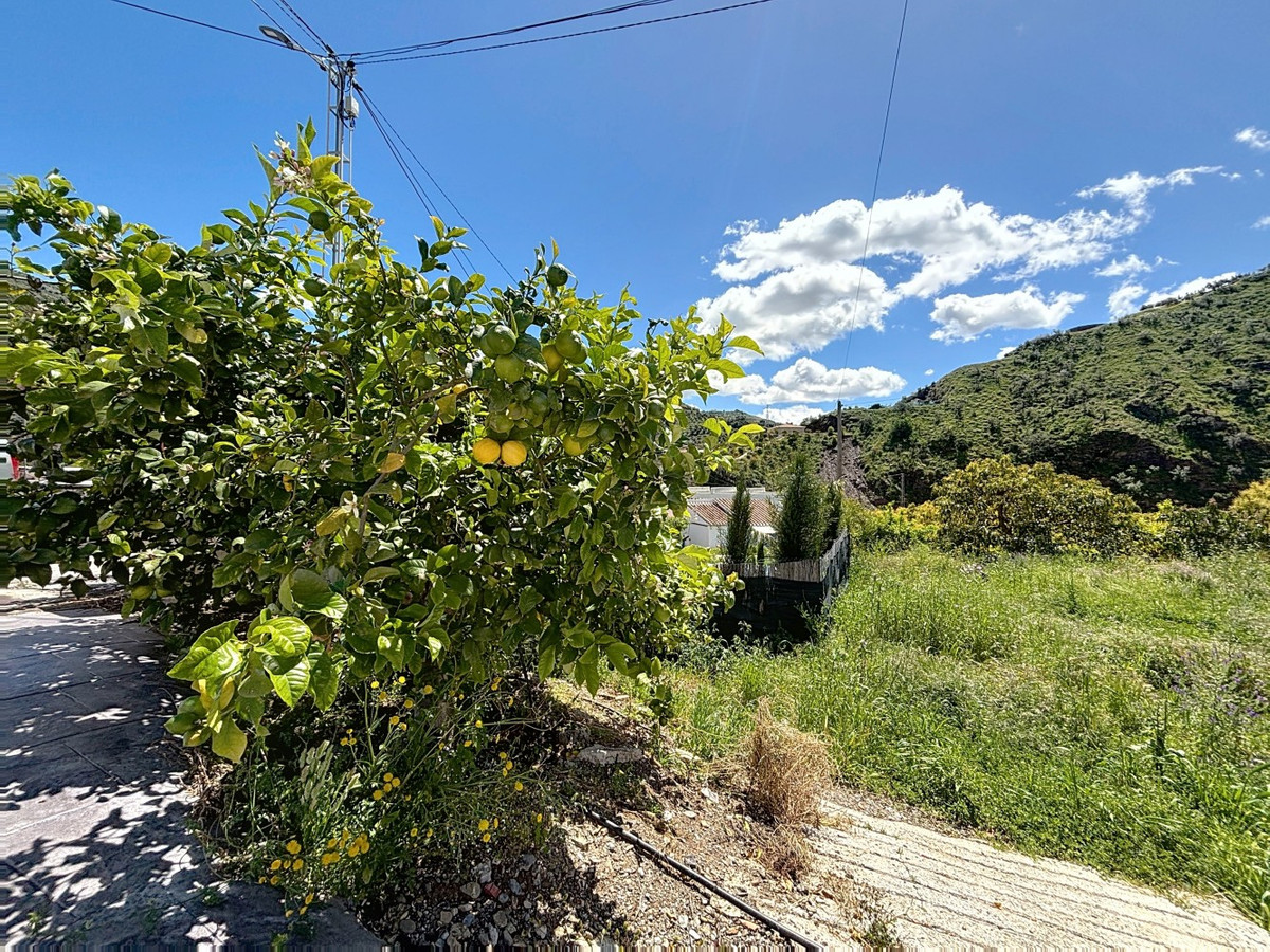 Finca - Cortijo in Cútar-34