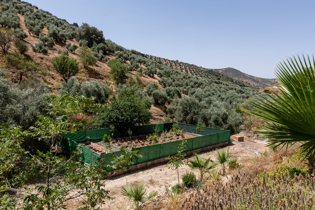 Finca - Cortijo in Cuevas De San Marcos-28