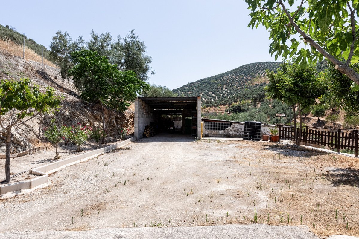 Finca - Cortijo in Cuevas De San Marcos-31