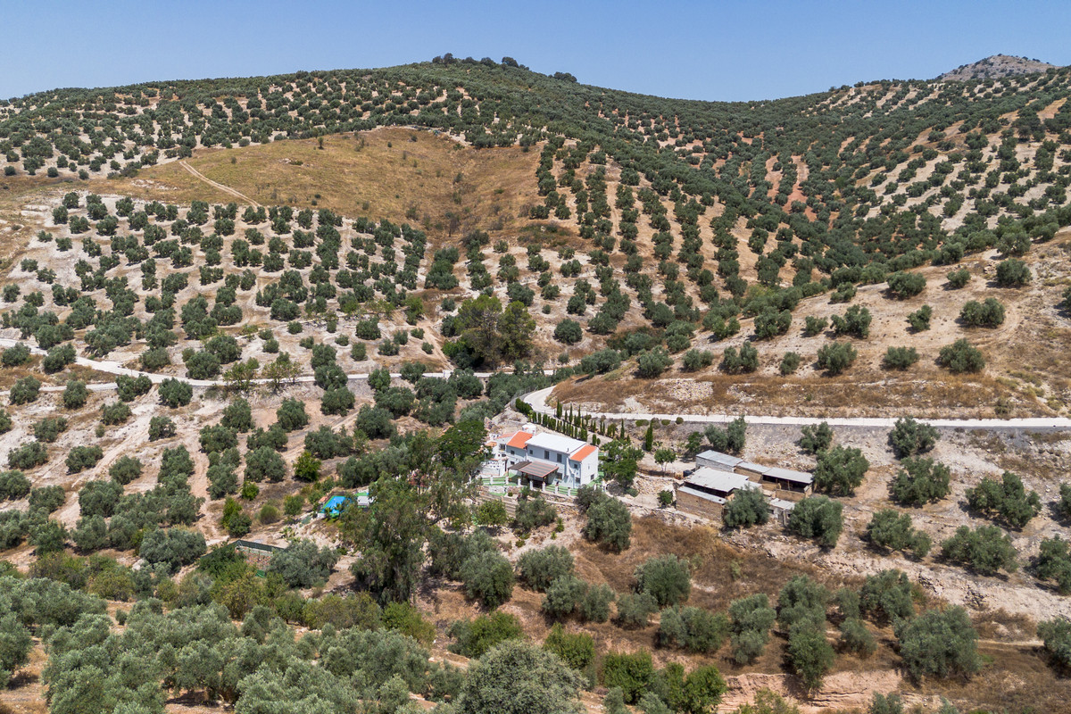 Finca - Cortijo in Cuevas De San Marcos-6