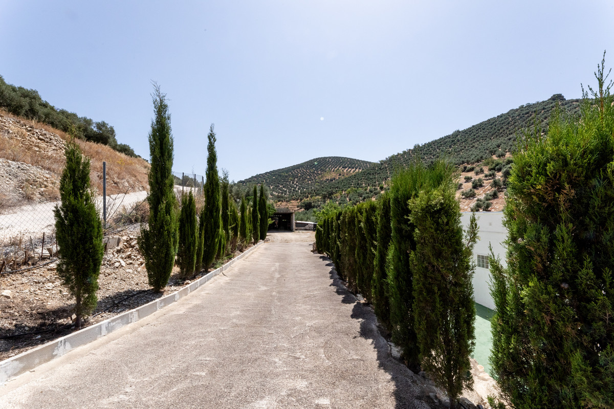 Property main view 25