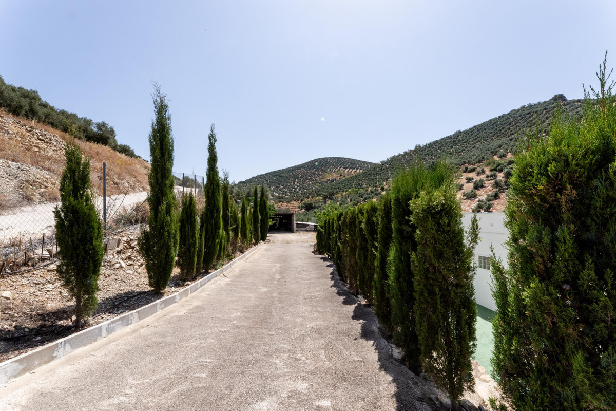 Property main view 24