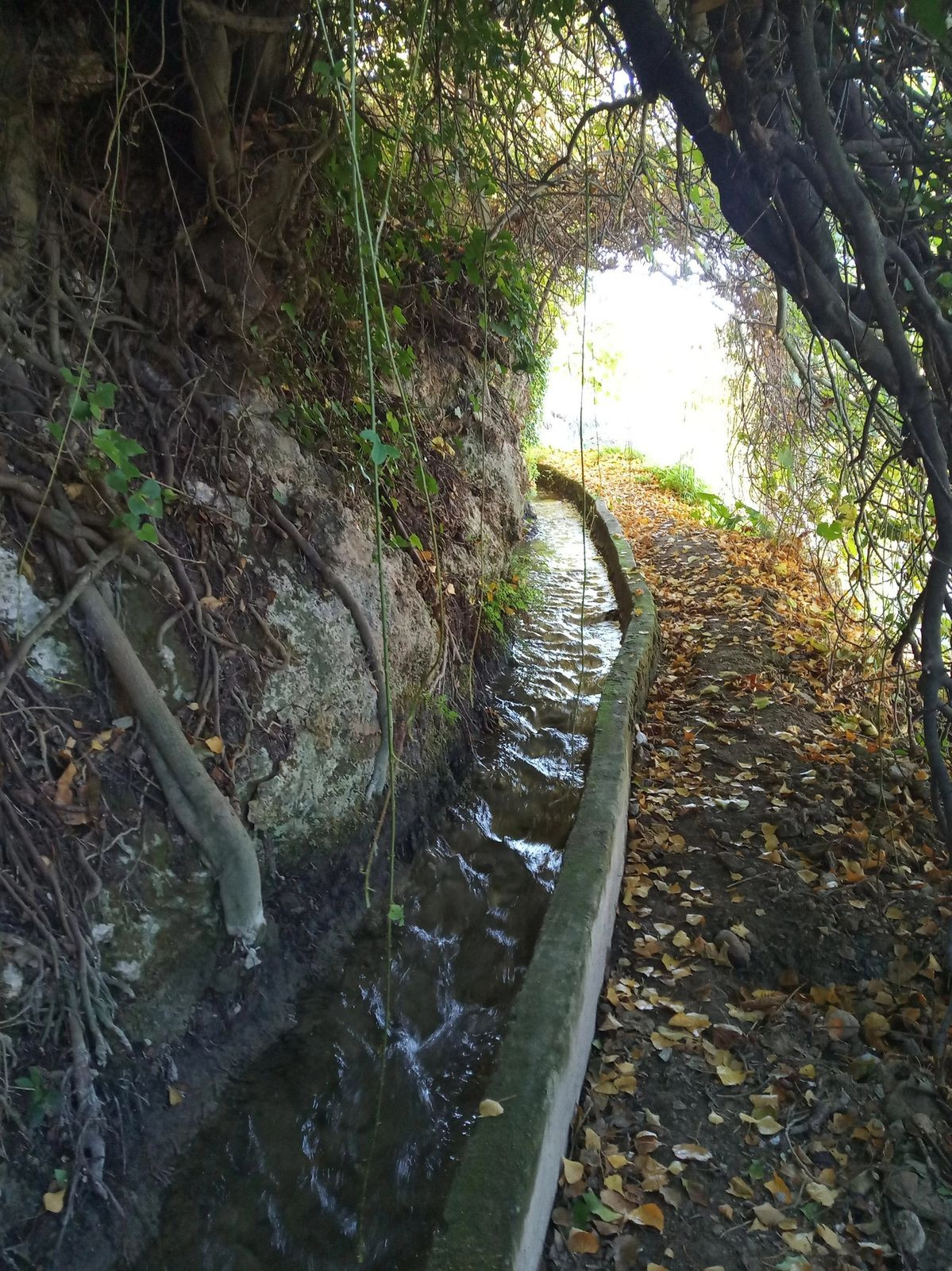 Property main view 39