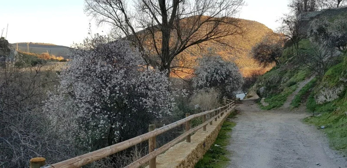 Property main view 41