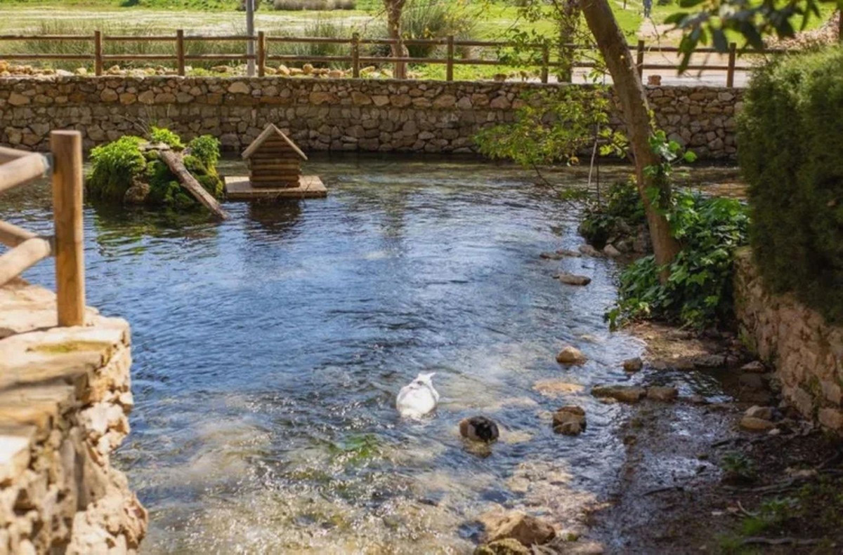 Property main view 43