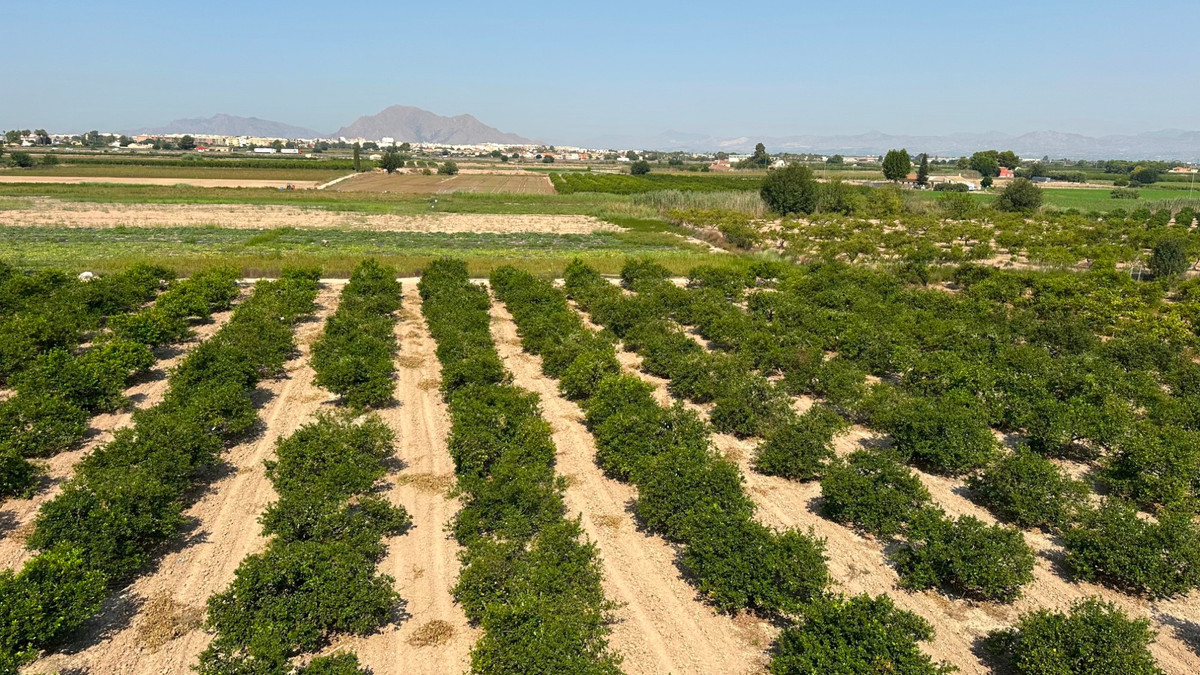 Property main view 26