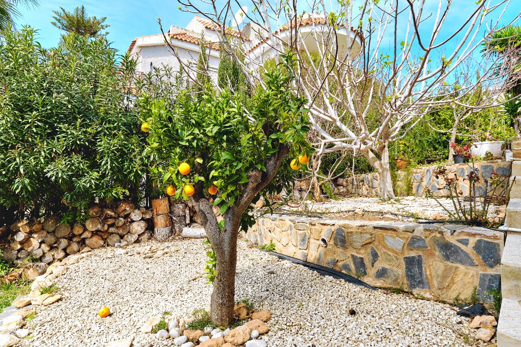 Property main view 42