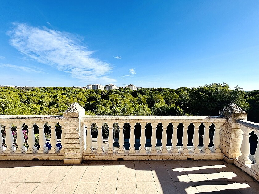 Huis te koop in Dehesa de Campoamor | 10 slaapkamers H5456287