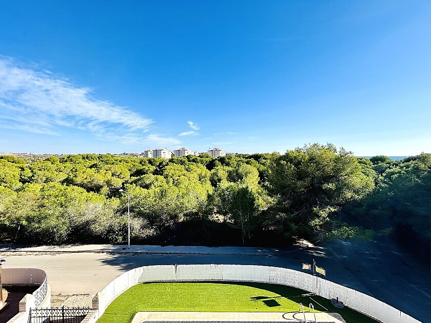 Huis te koop in Dehesa de Campoamor | 10 slaapkamers H5456287