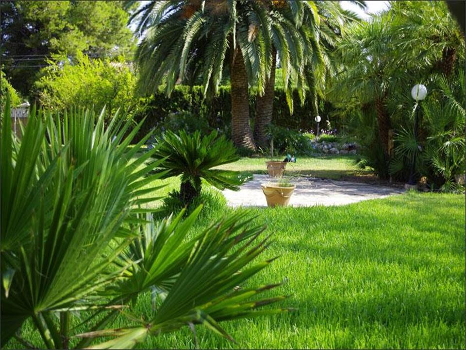 Property main view 9