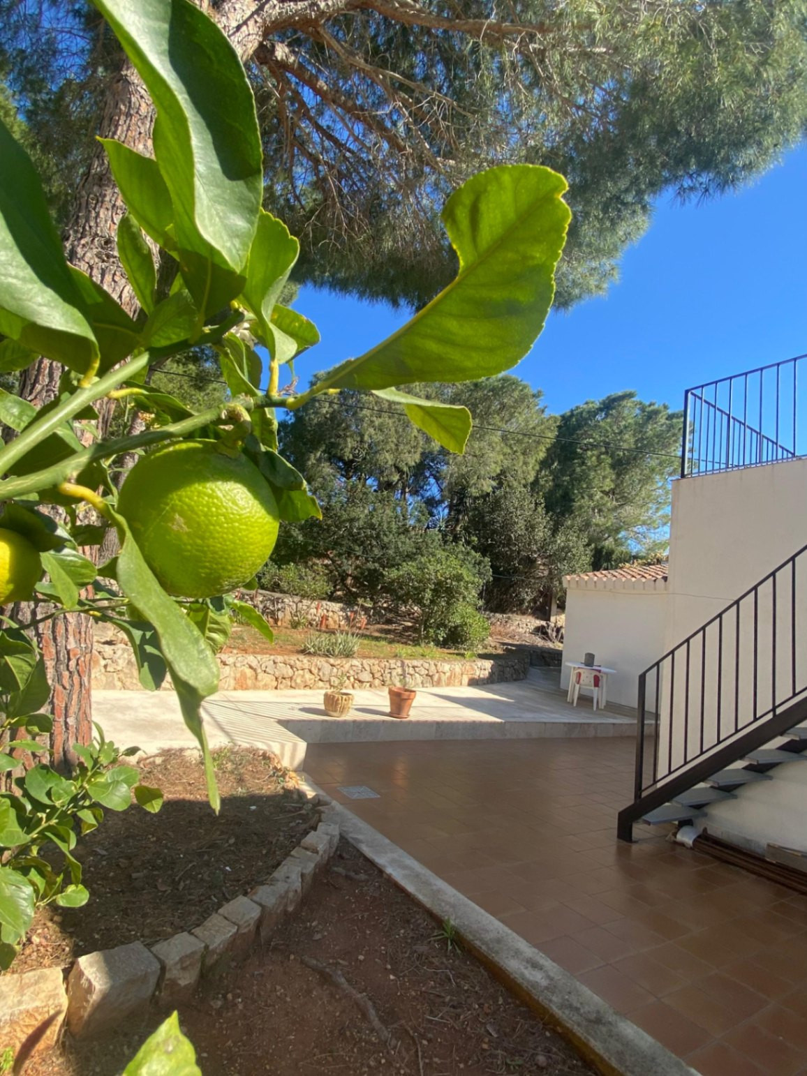 Property main view 40