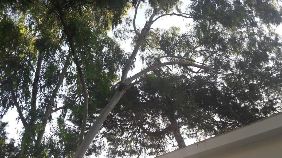 Bungalow te koop in El Campello | 2 slaapkamers H5323369