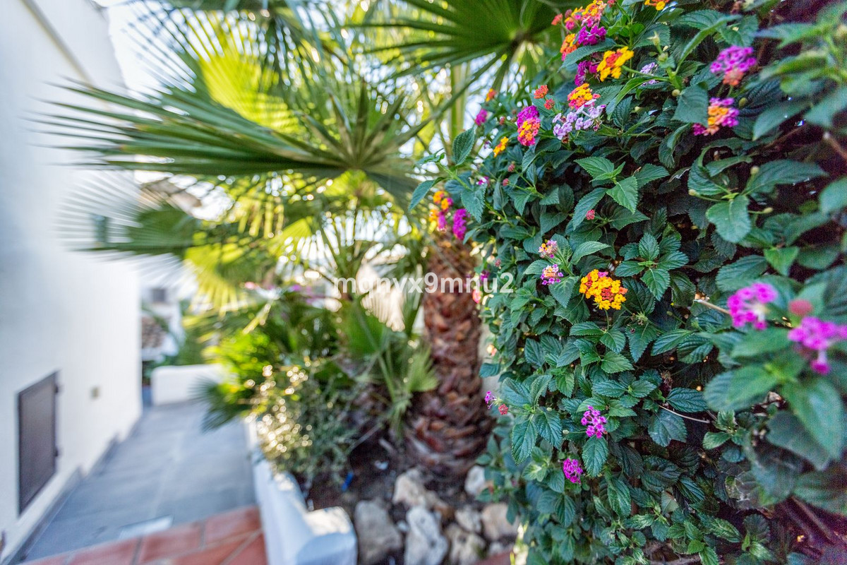 Property main view 3