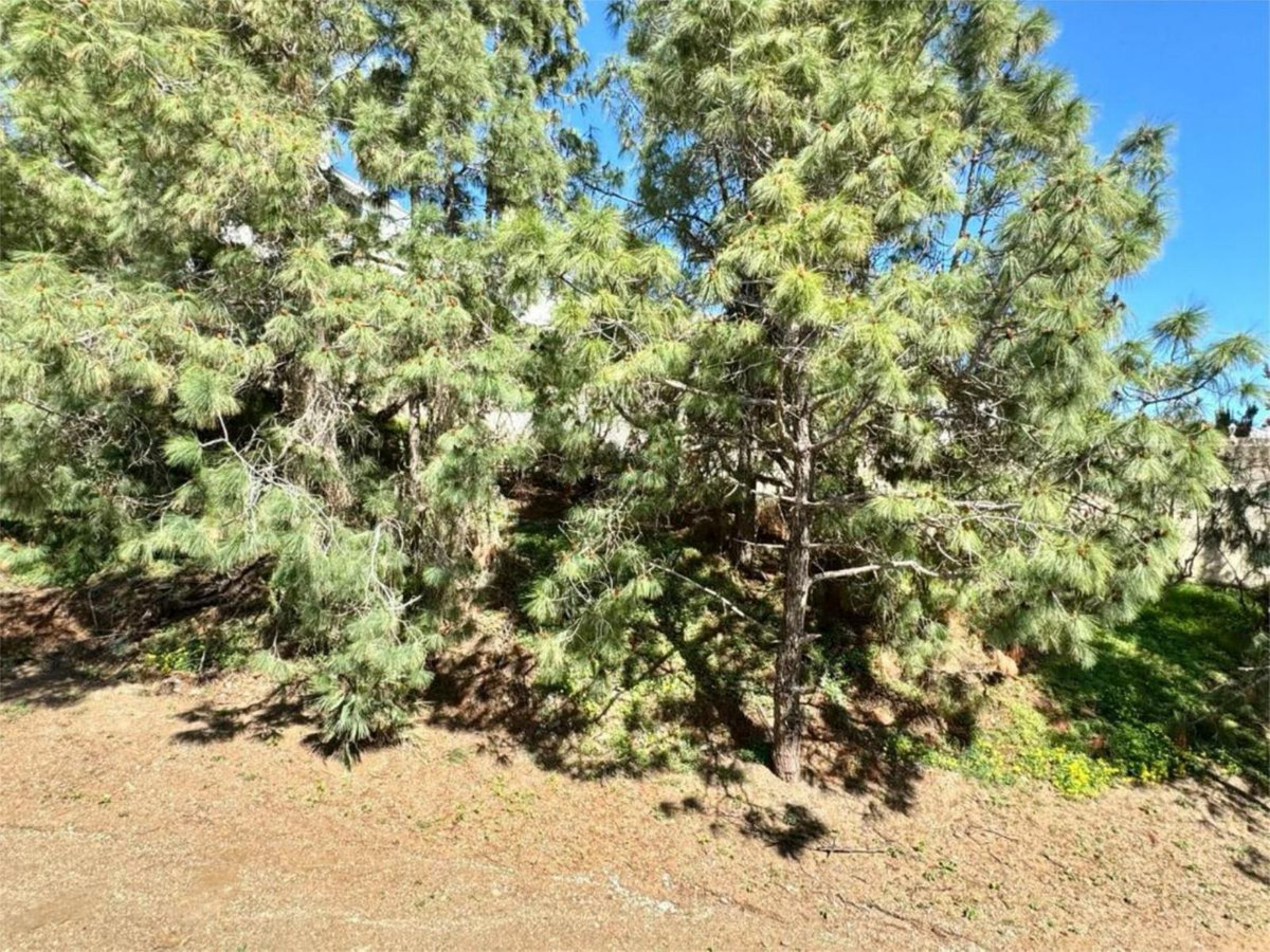 Huis te koop in El Chaparral | 3 slaapkamers H5228707