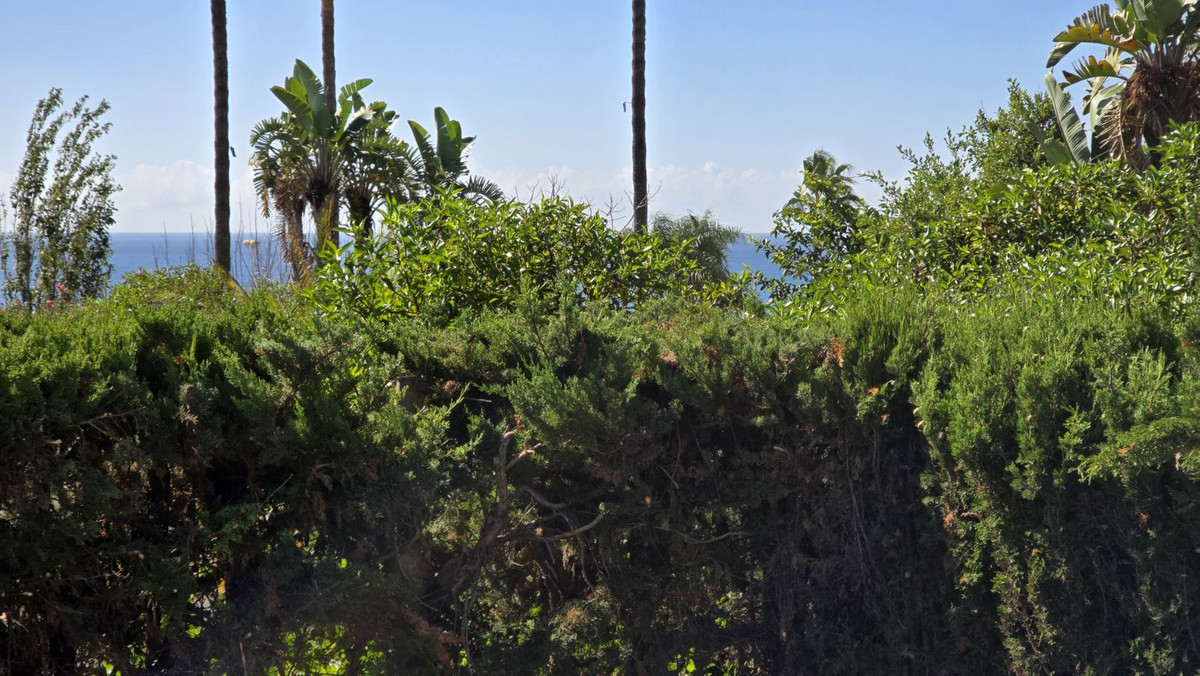 Property main view 33
