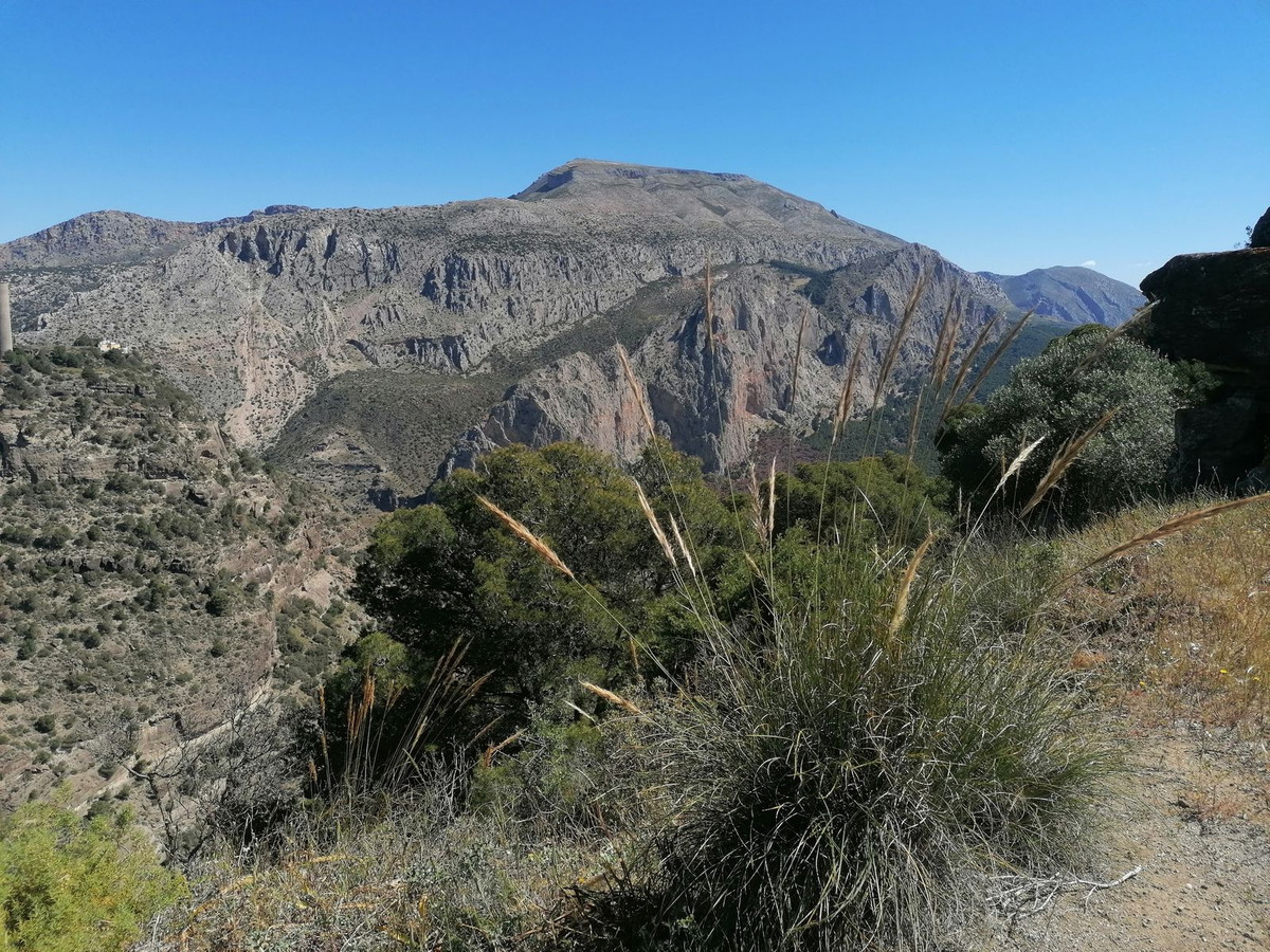 Vrijstaande Villa in El Chorro-17