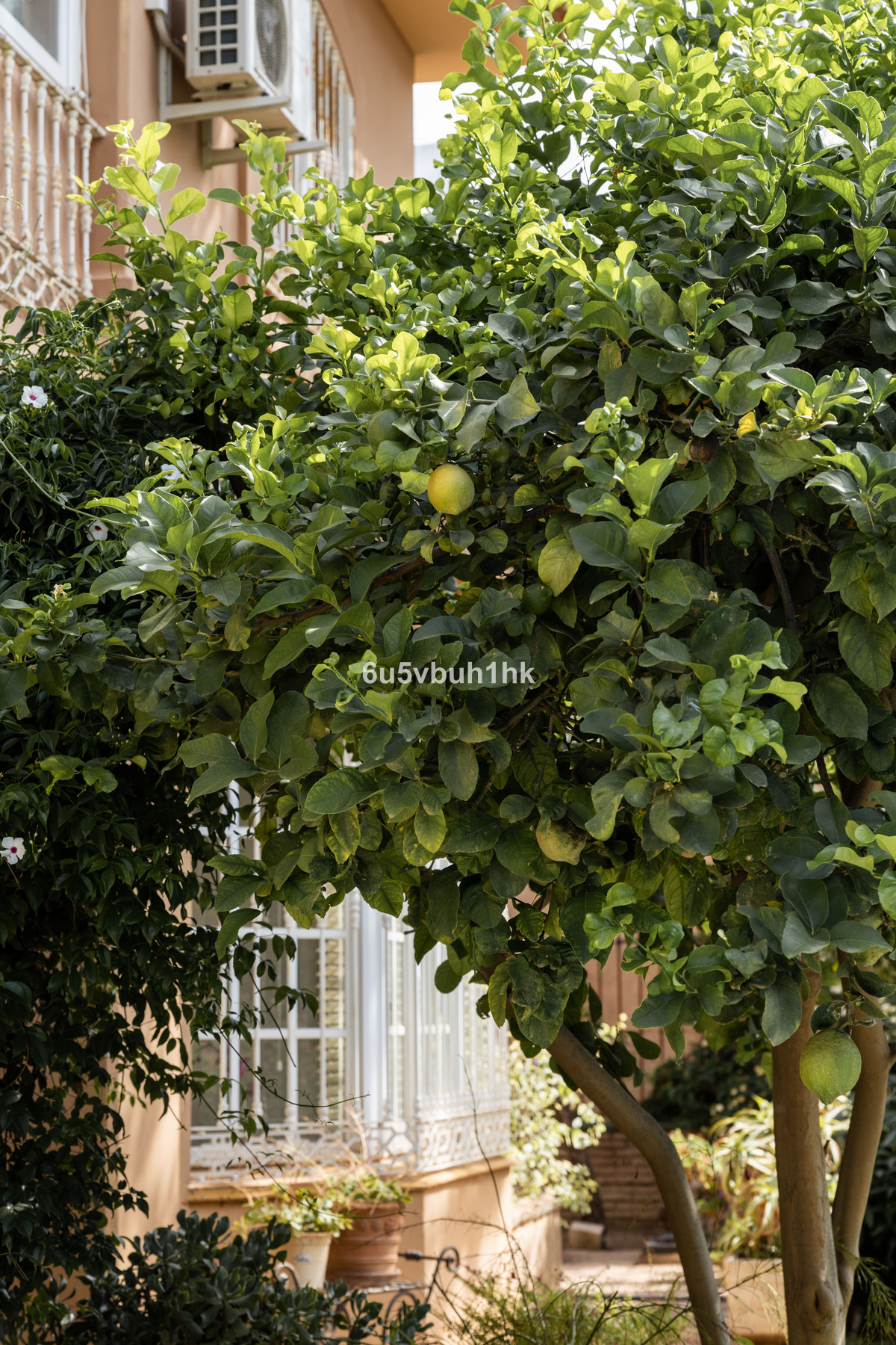 Property main view 11