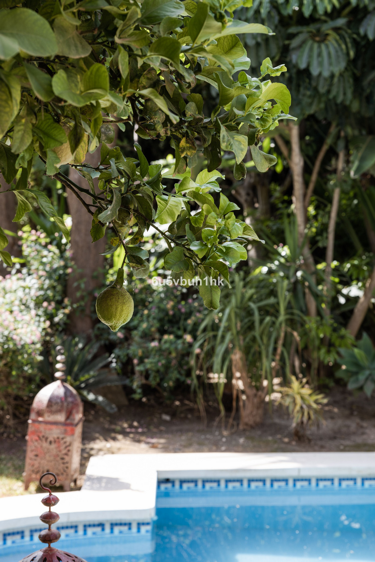 Property main view 15