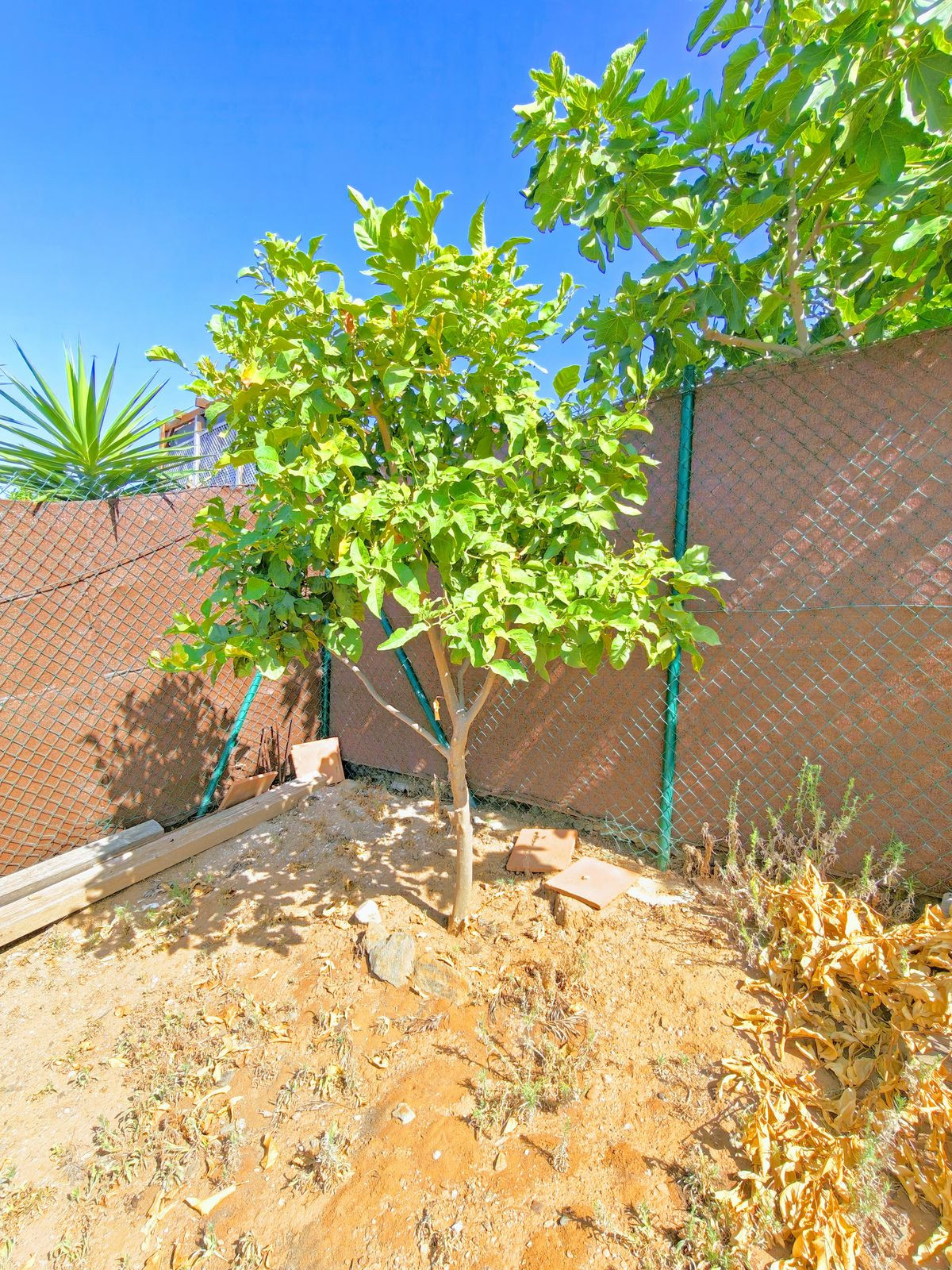 Huis te koop in El Faro | 2 slaapkamers H5407228