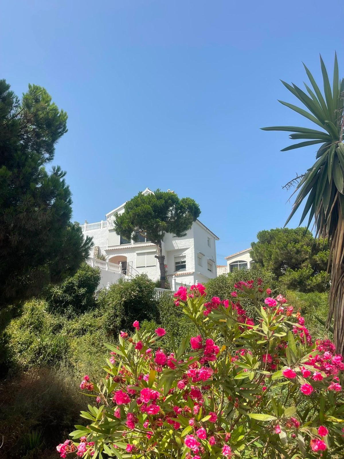 Huis te koop in El Faro | 6 slaapkamers H5495401
