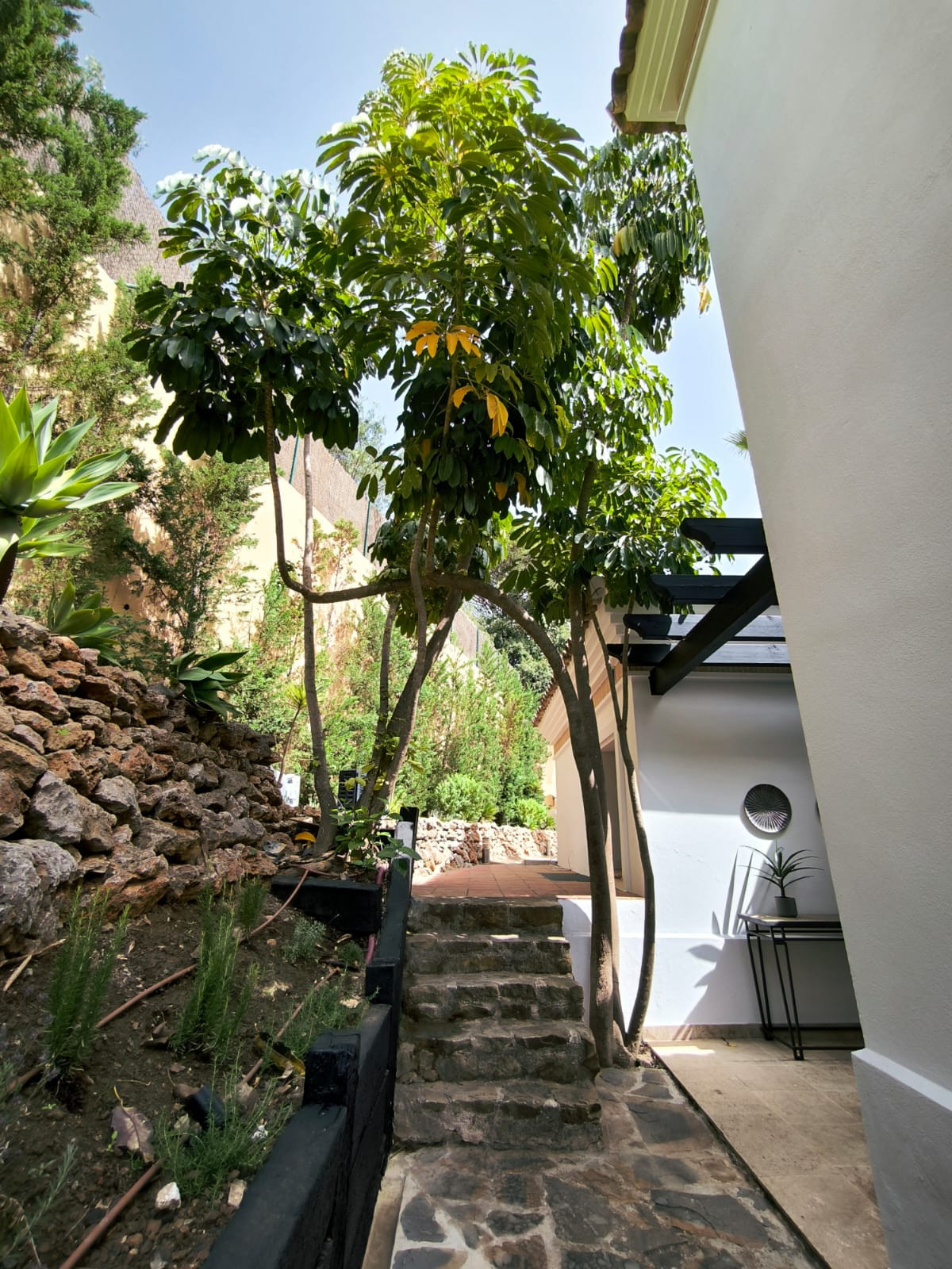 Vrijstaande Villa in El Madroñal-5
