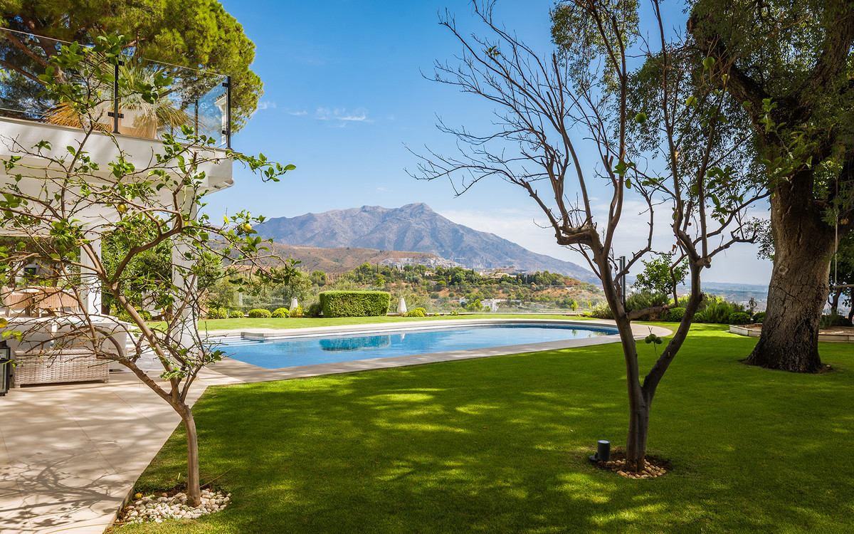 Property main view 37