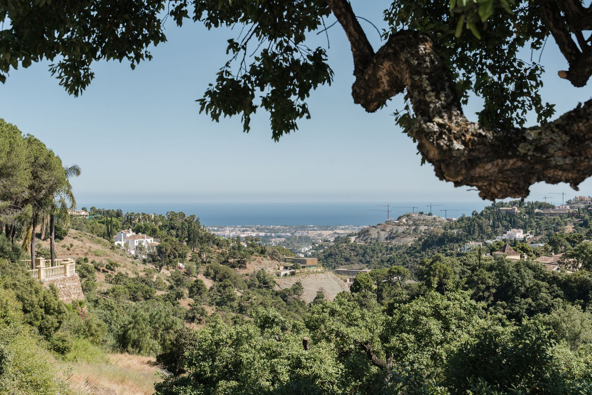 Property main view 26