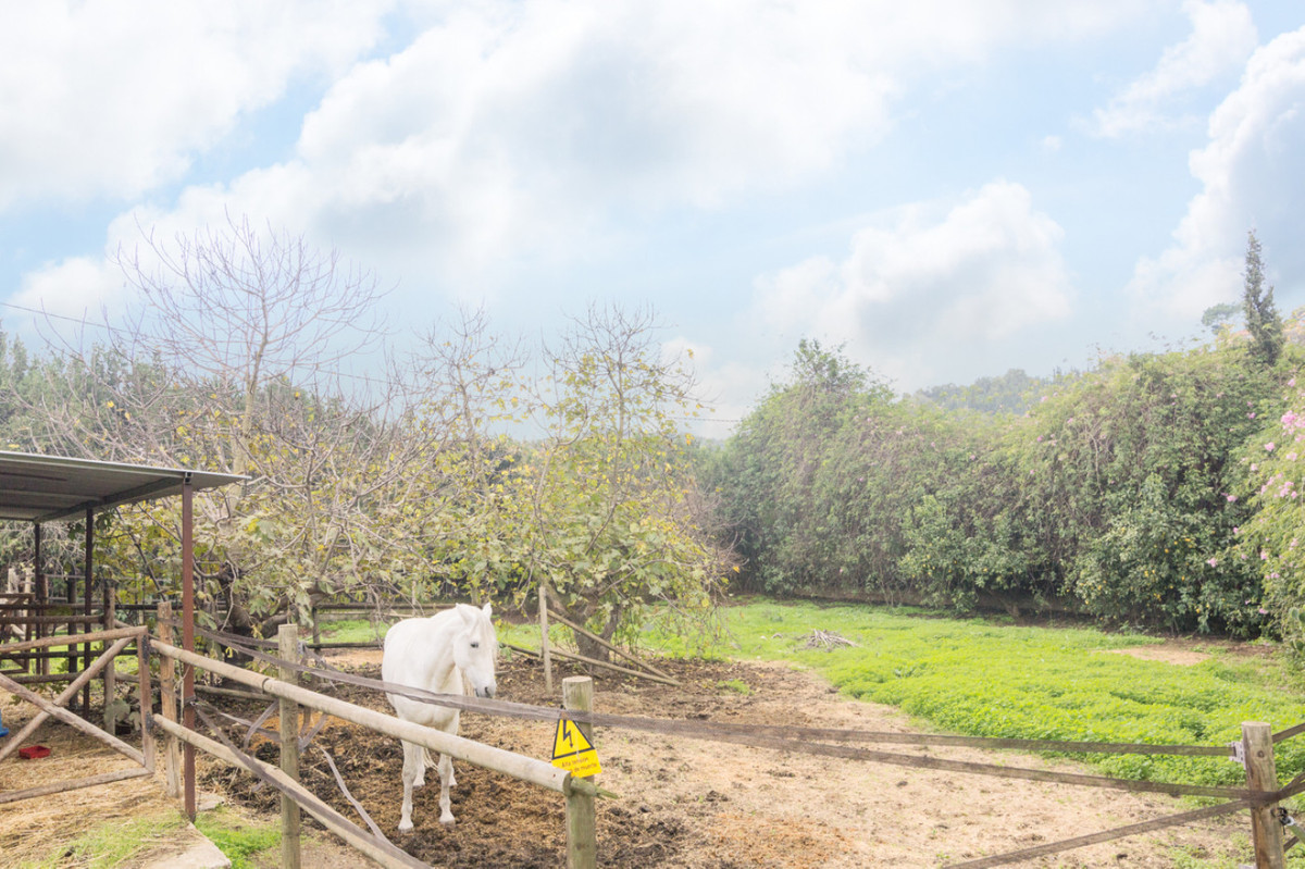 Finca - Cortijo in El Padron-13