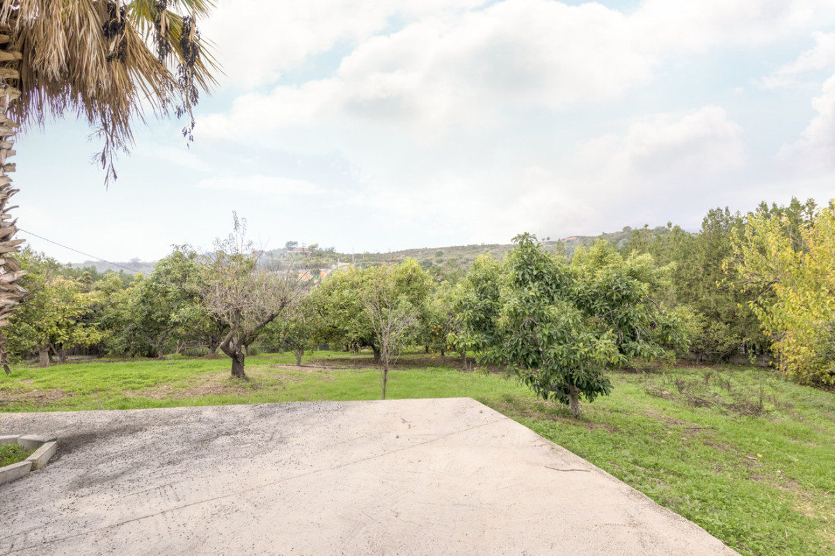 Finca - Cortijo in El Padron-14