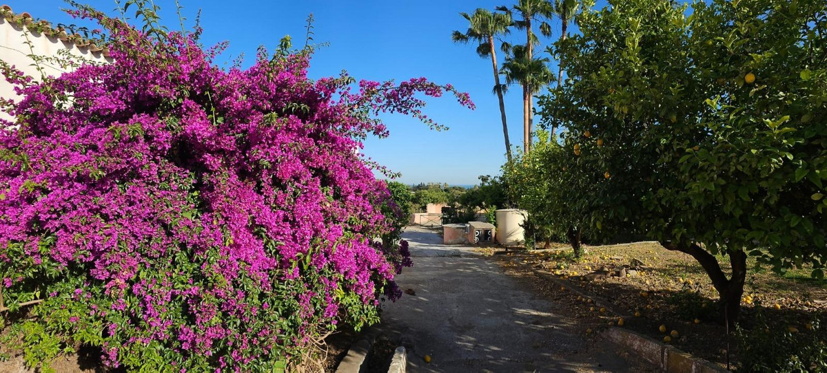 Detached Villa for sale in El Padron | 3 bedrooms H5078656