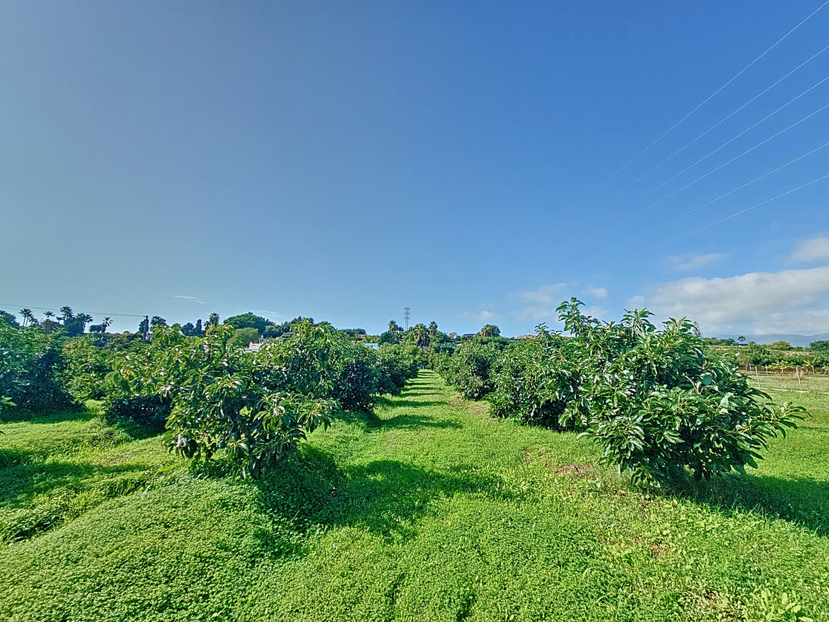 Property main view 29