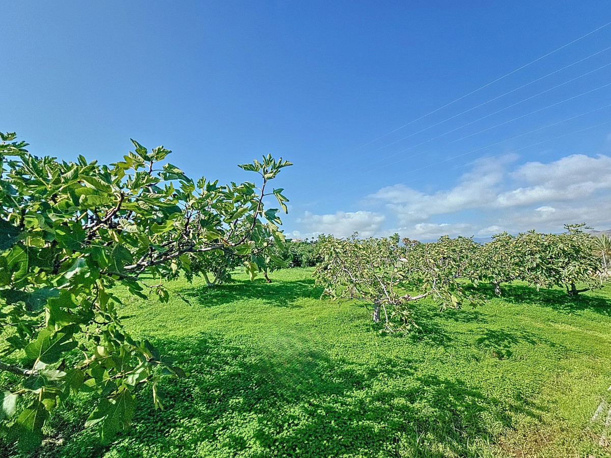 Property main view 32