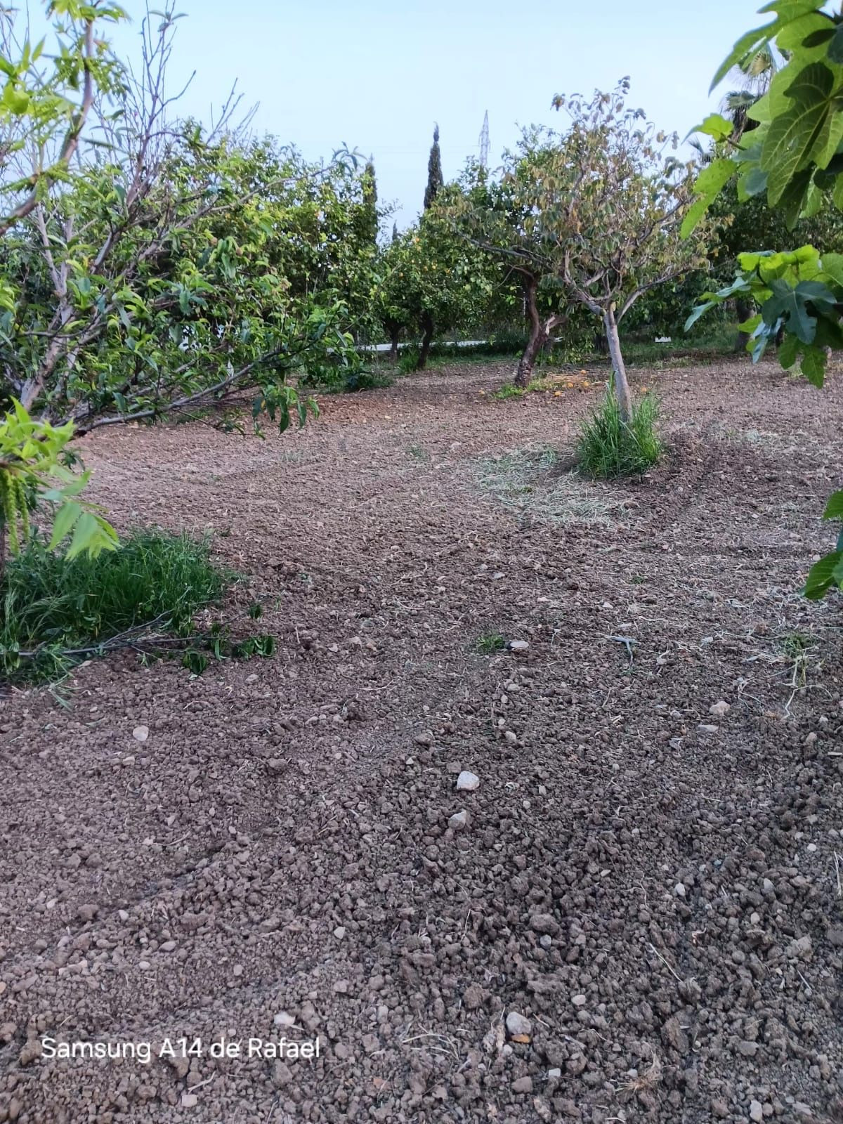Property main view 3