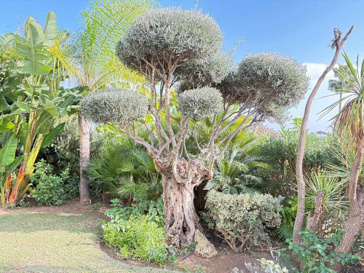 Property main view 37