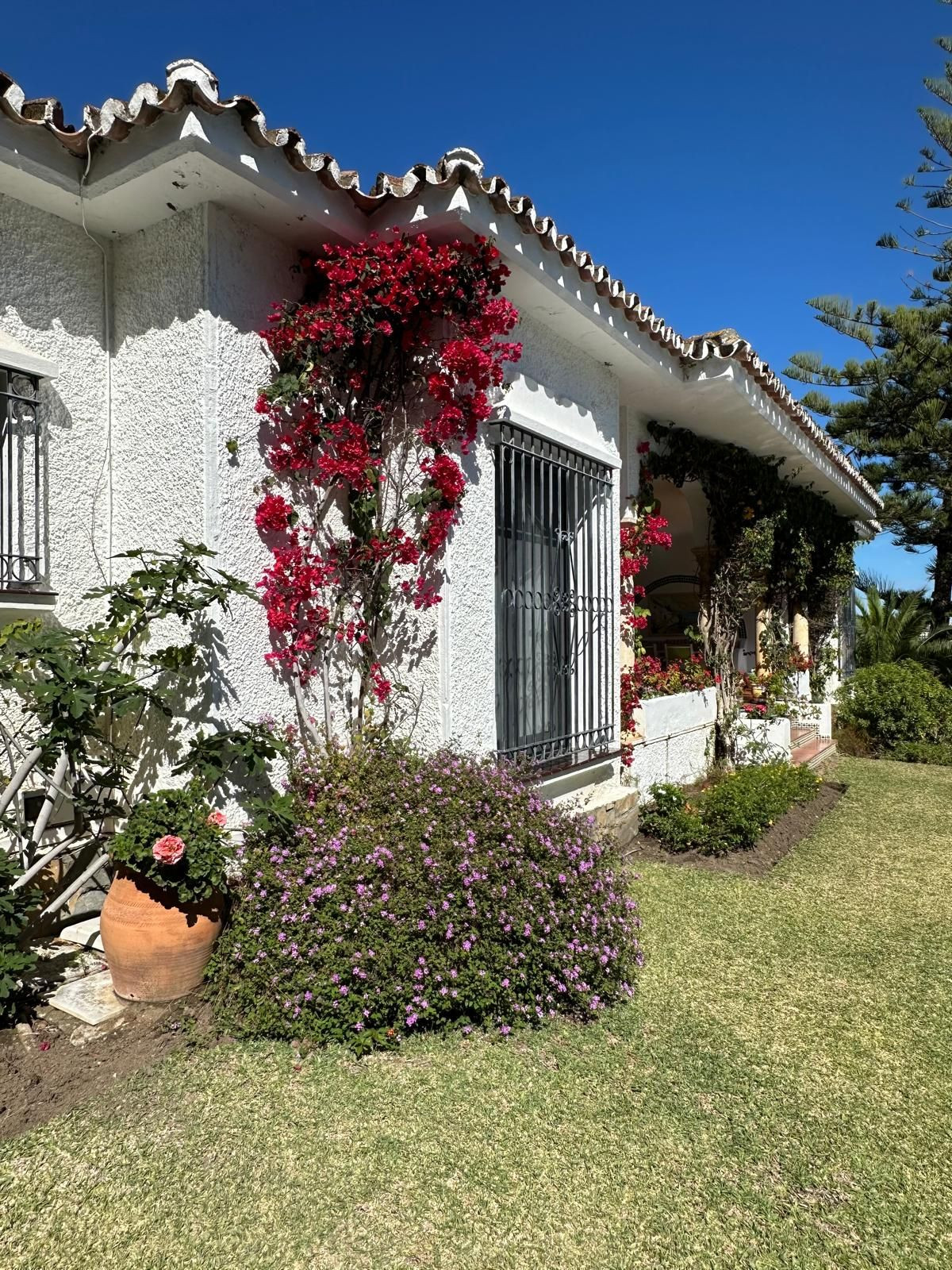 Property main view 22