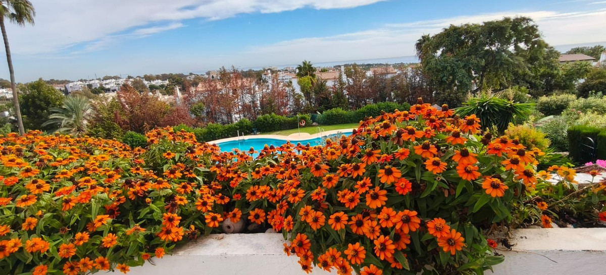 Property main view 14