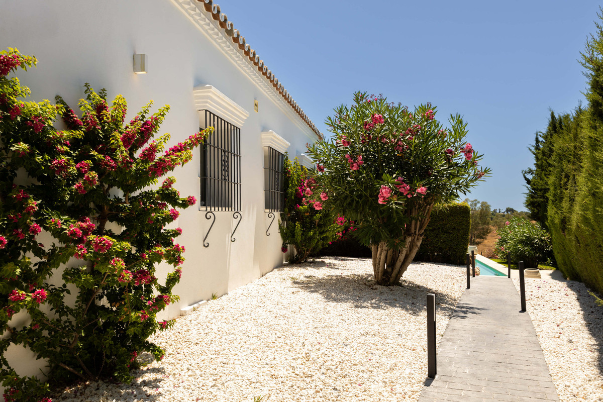 Property main view 37