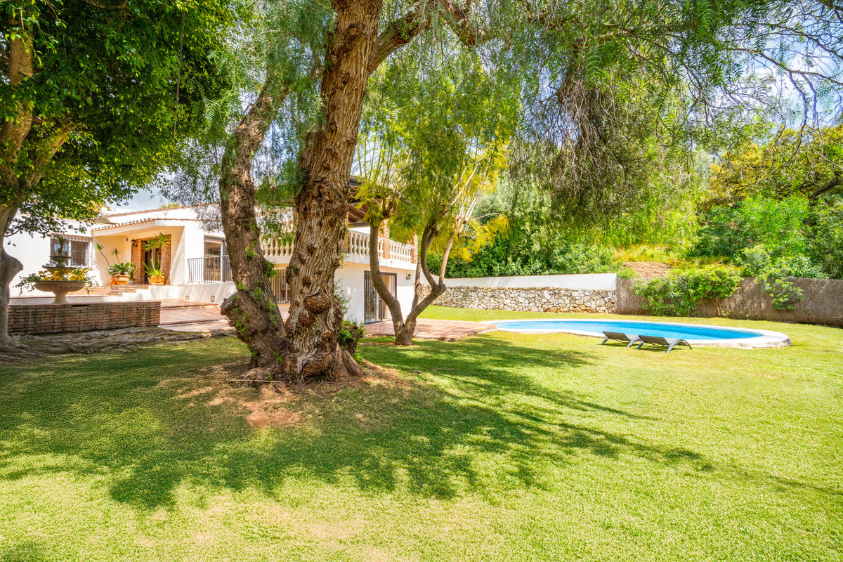 Vrijstaande Villa in El Rosario-42