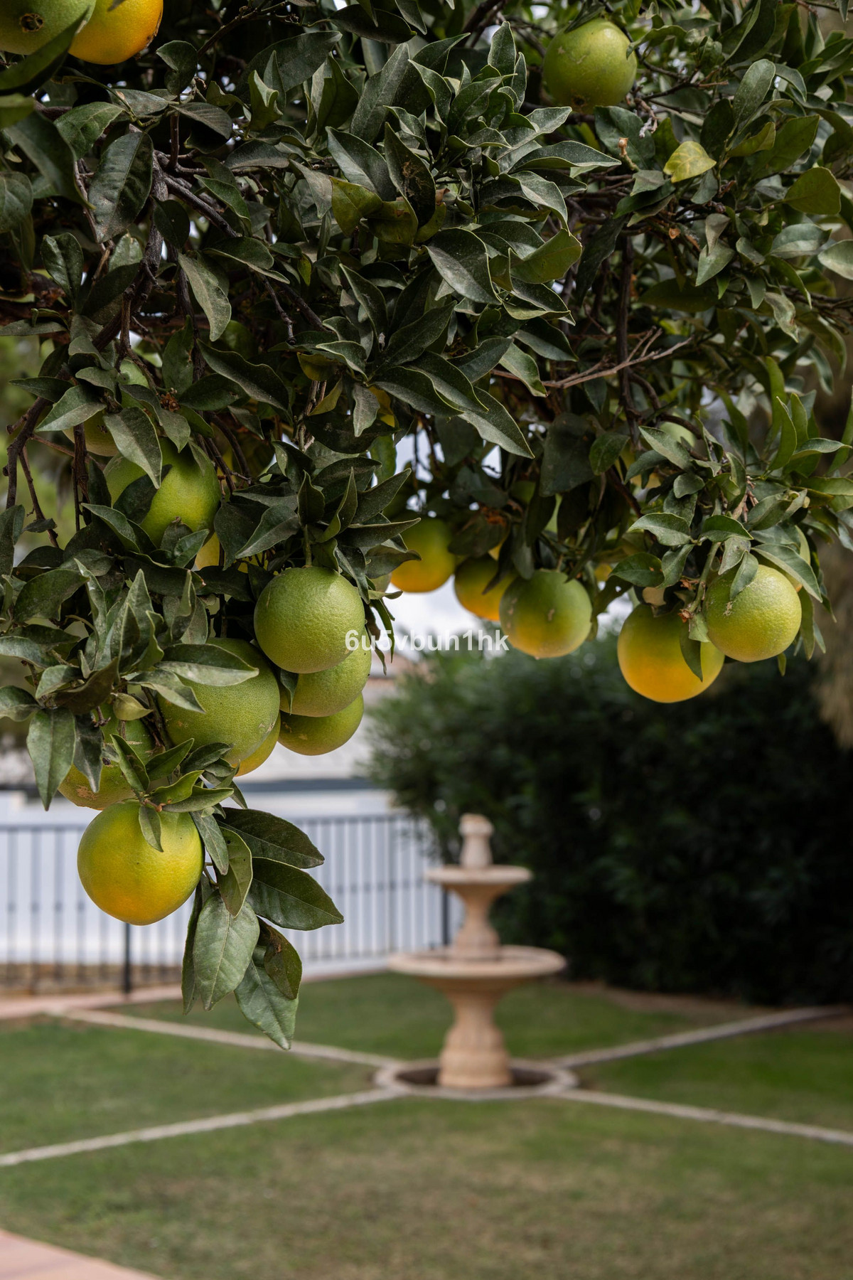 Property main view 41