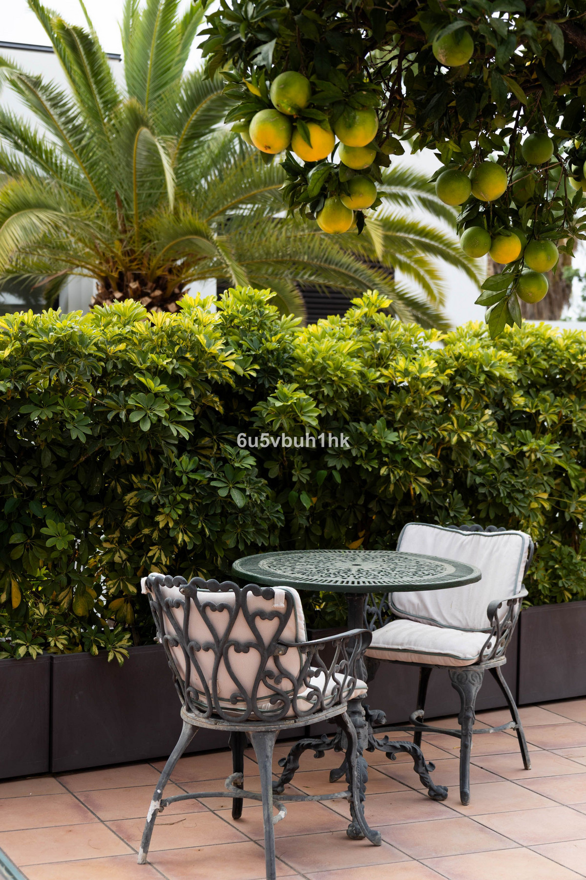 Property main view 42