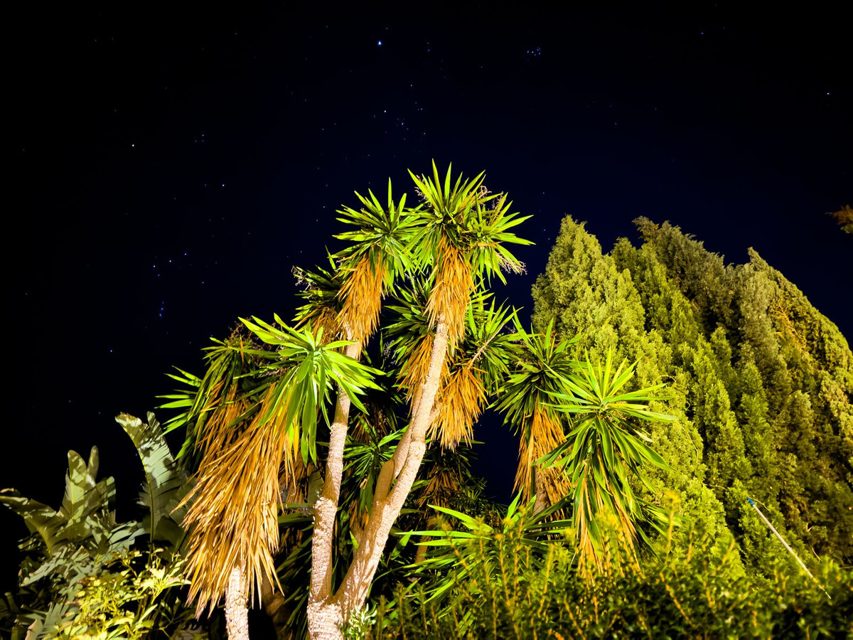 Huis te koop in El Rosario | 7 slaapkamers H5289547