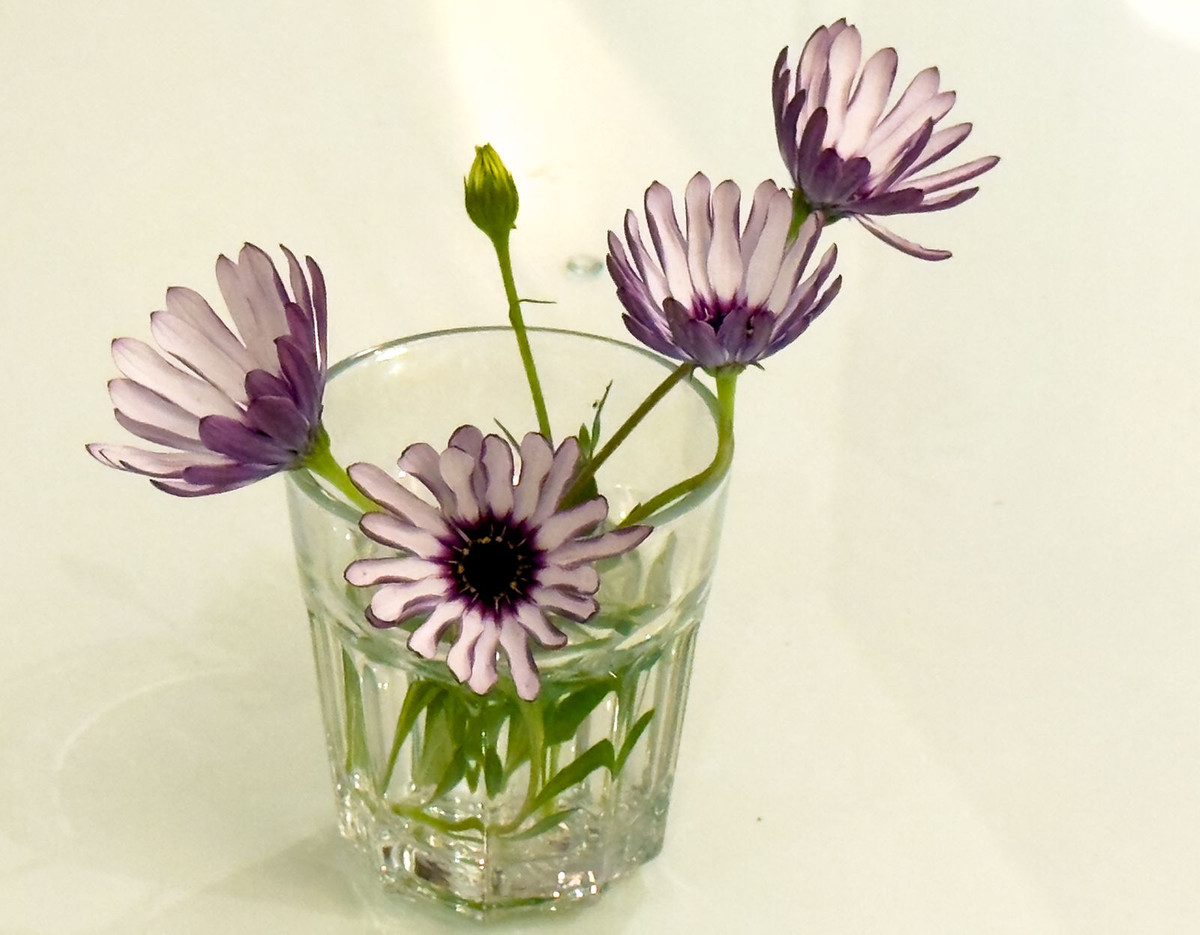 Huis te koop in El Rosario | 7 slaapkamers H5289547