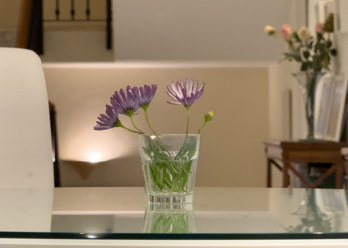 Huis te koop in El Rosario | 7 slaapkamers H5289547