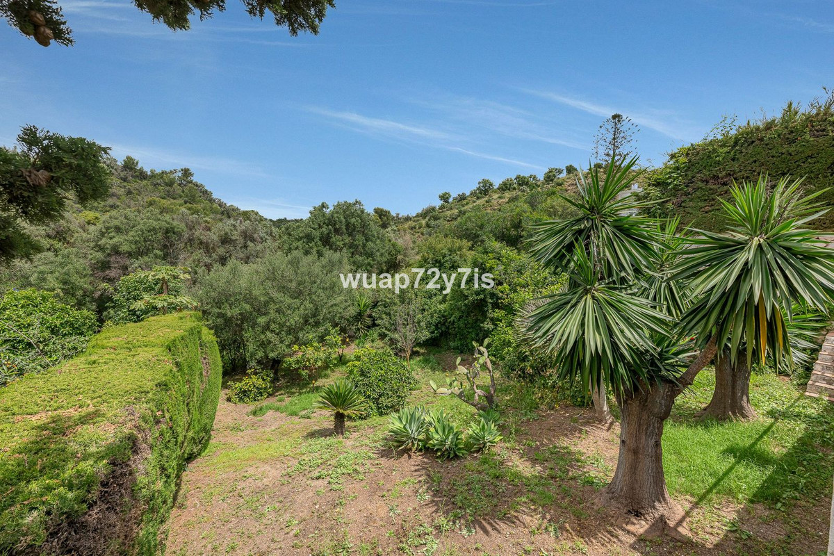 Property main view 19