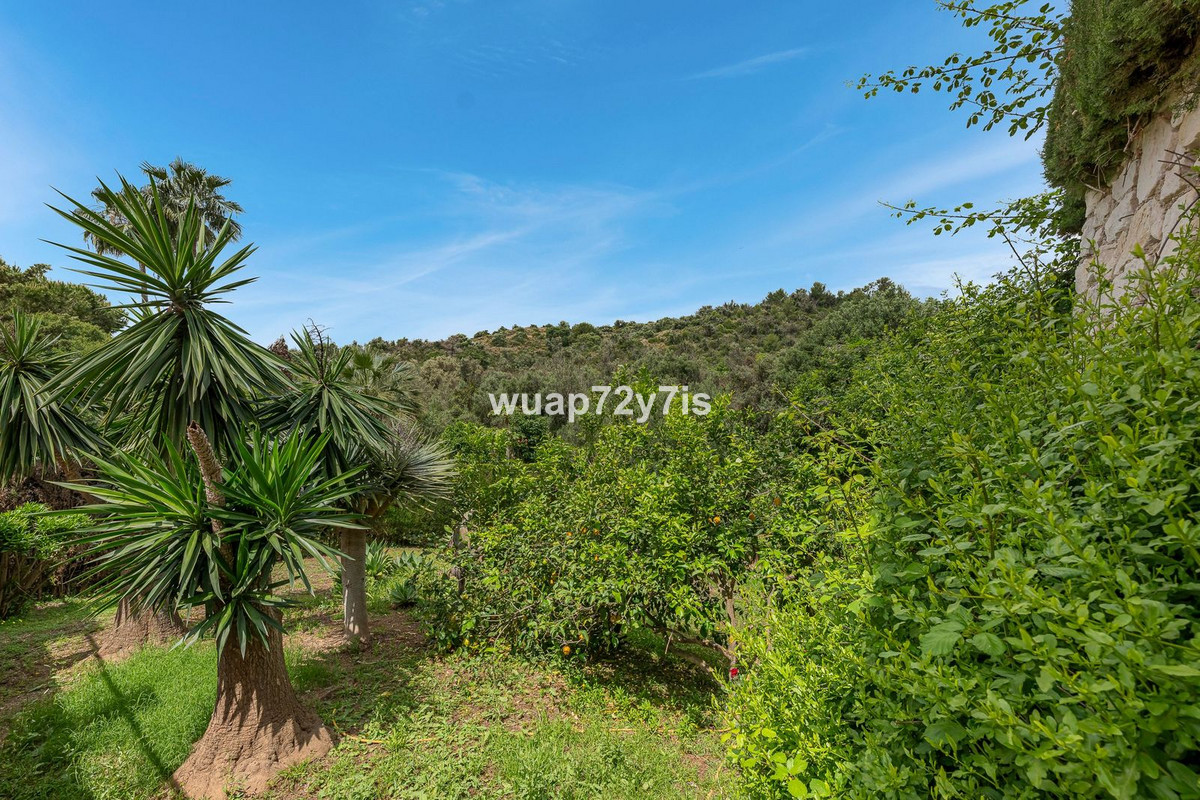 Property main view 21